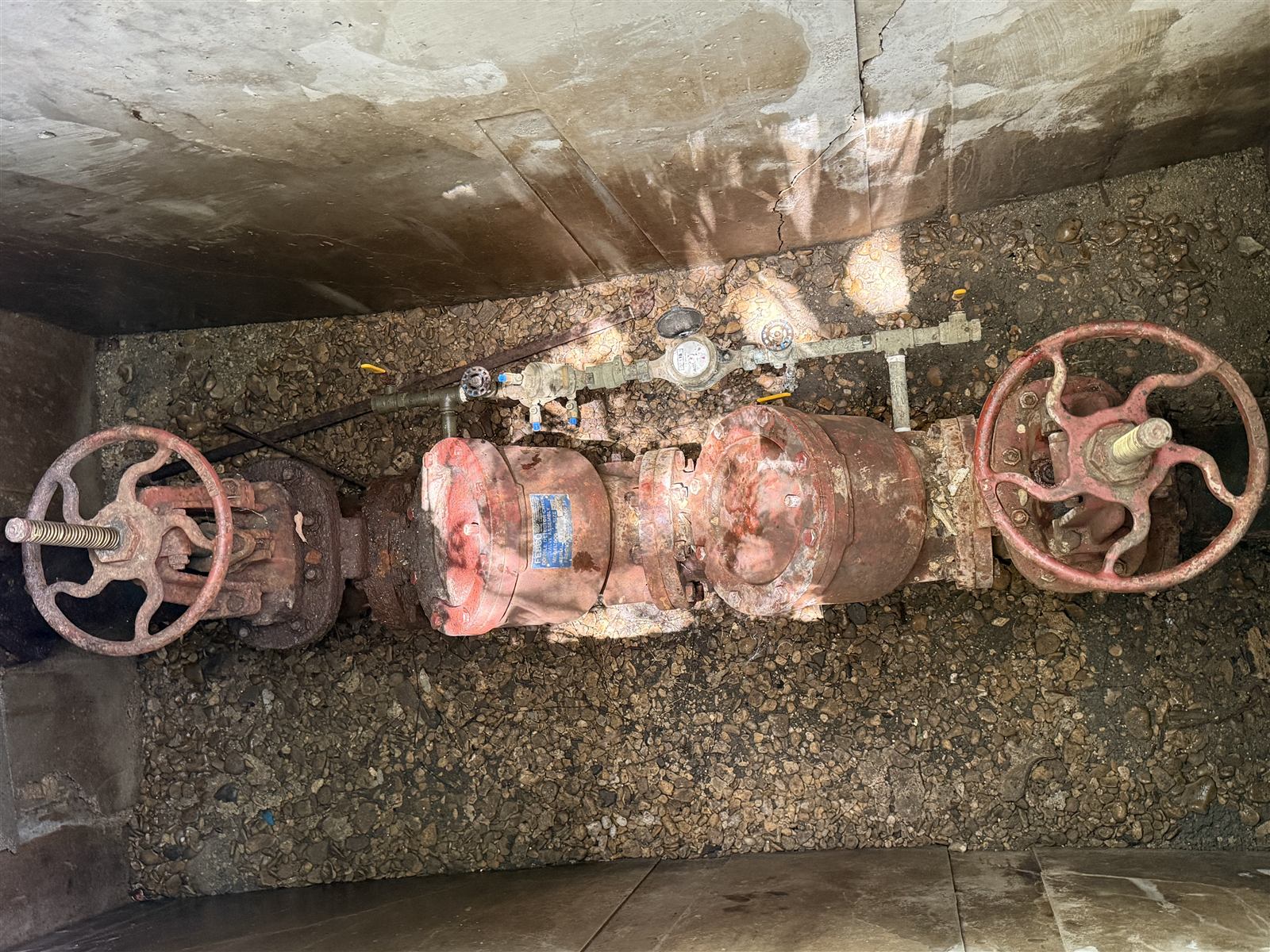 Double check detector assembly (DCDA) on a commercial fire line, tested by Atlas Backflow in Lewisville, TX